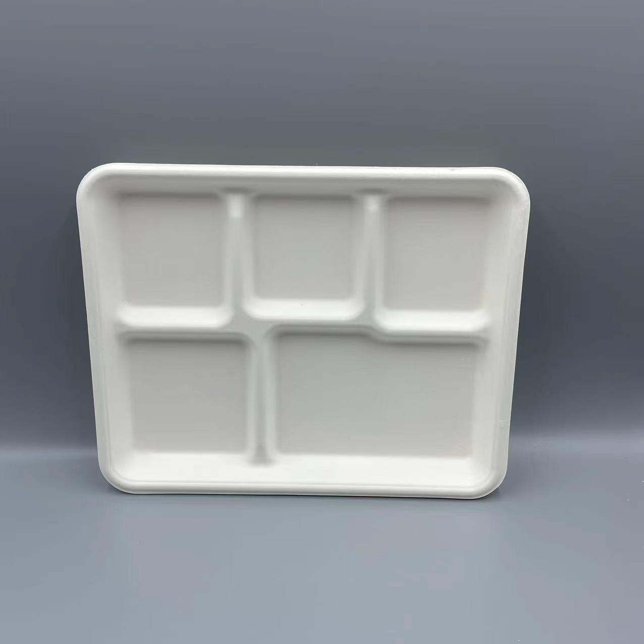 Tray Five Compartment - Large, Disposable & Compostable, Eco-Friendly Serving Solution
