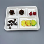 Tray Five Compartment - Large, Disposable & Compostable, Eco-Friendly Serving Solution