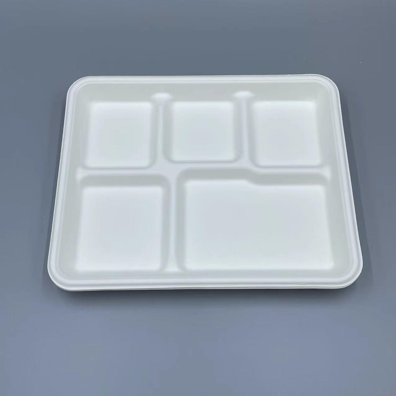 Tray Five Compartment - Large, Disposable & Compostable, Eco-Friendly Serving Solution