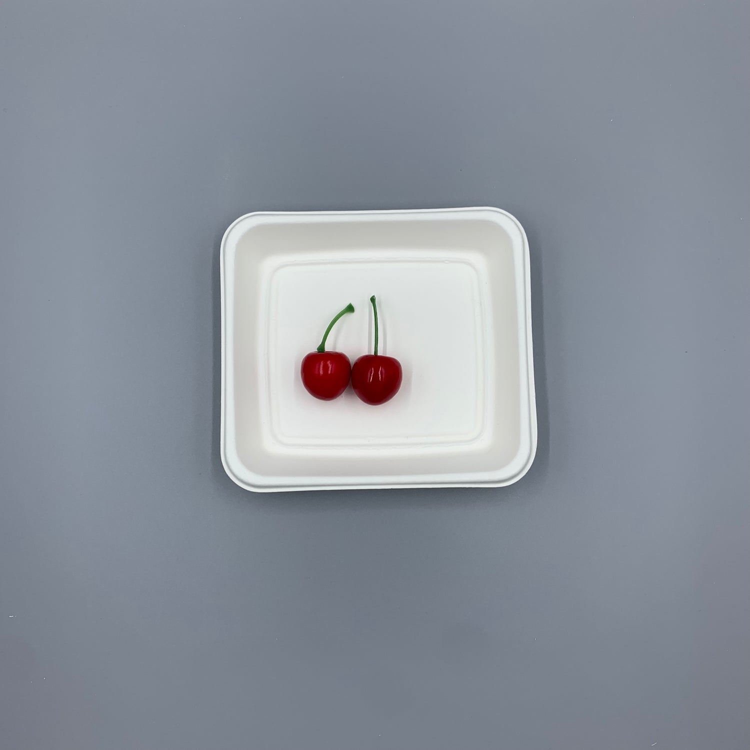 Cake Tray - Square, Disposable & Compostable, Eco-Friendly Dessert Plate