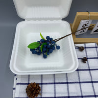 Clamshell Container, 8 x 8 inch - Disposable & Compostable, Eco-Friendly Food Box