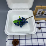 Clamshell Container, 8 inch - Disposable & Compostable, Eco-Friendly Food Box