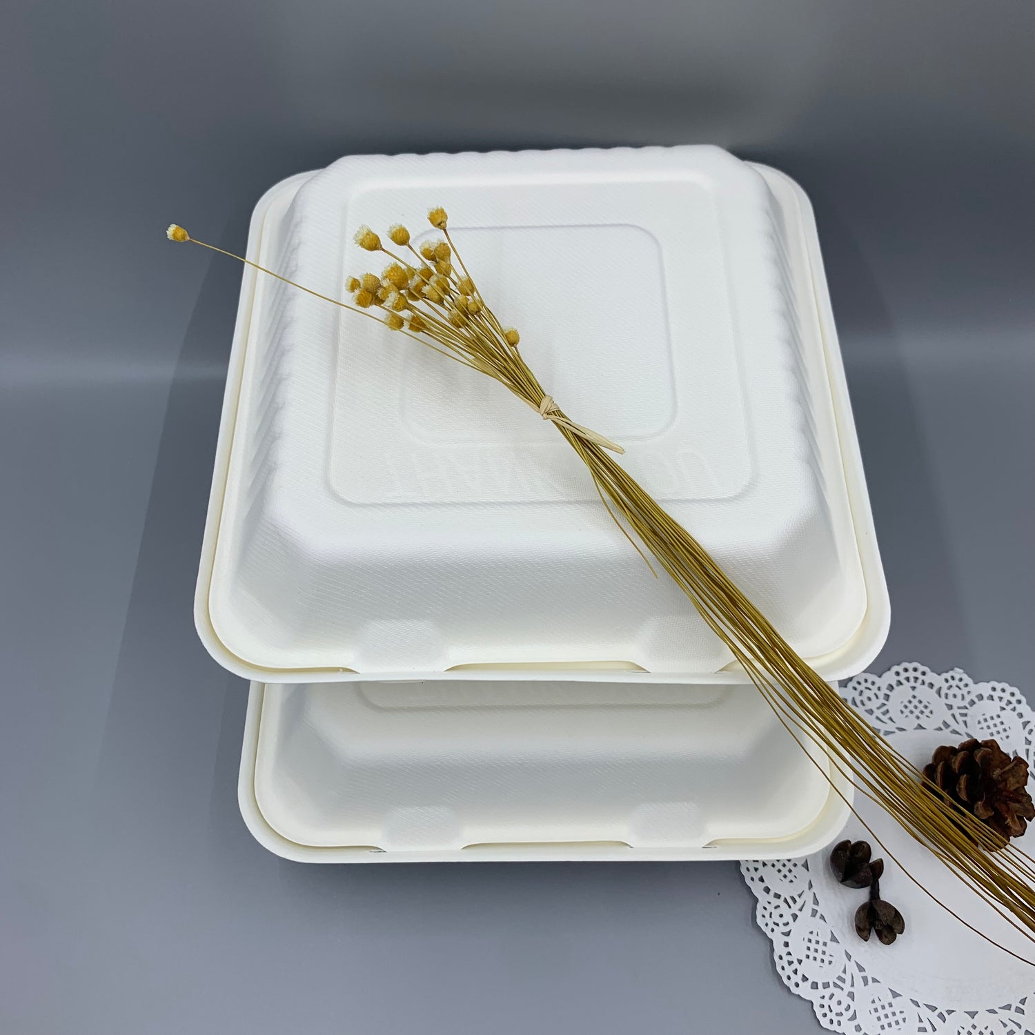 Clamshell Container, 9 inch, 3 compartment - Disposable & Compostable, Eco-Friendly Food Container