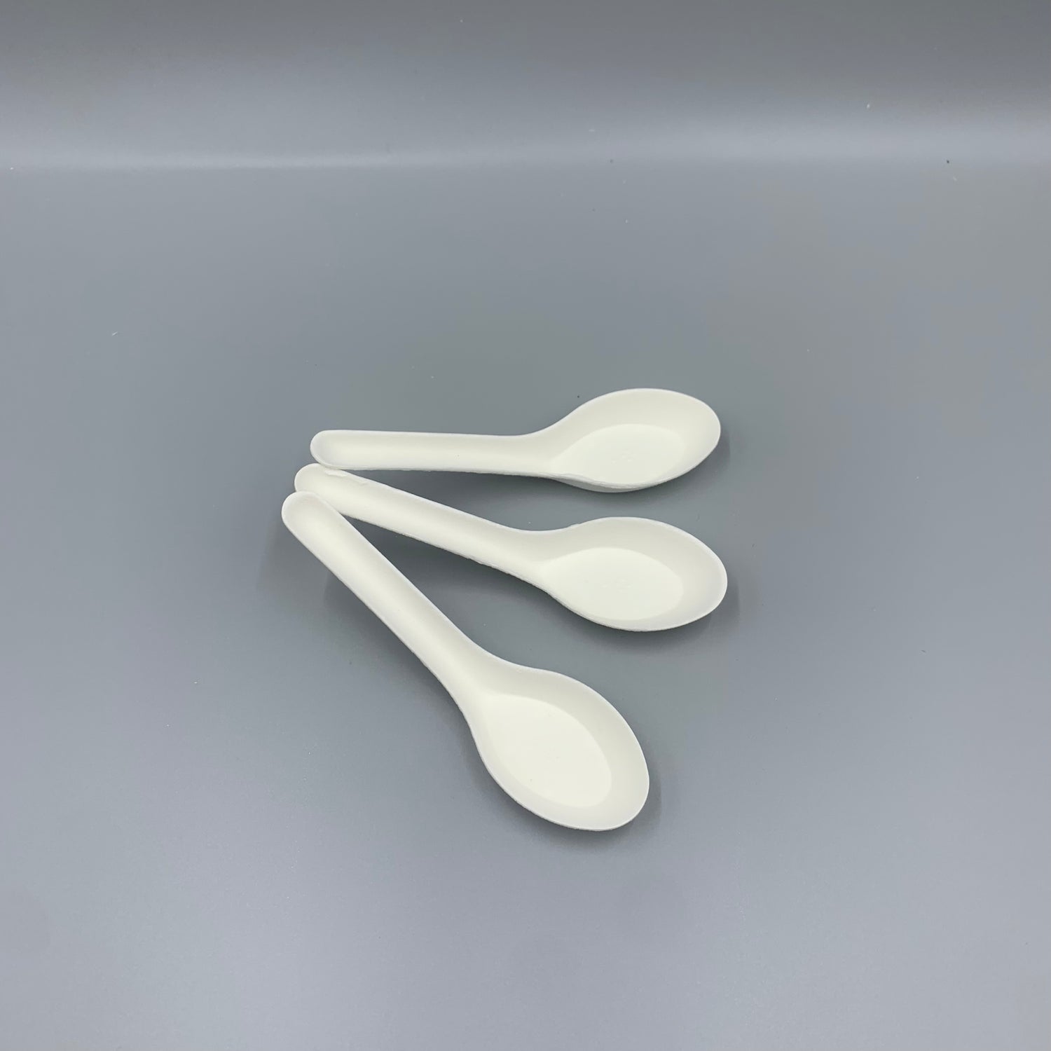 Soup Ladle - Disposable & Compostable, Eco-Friendly Kitchen Utensil