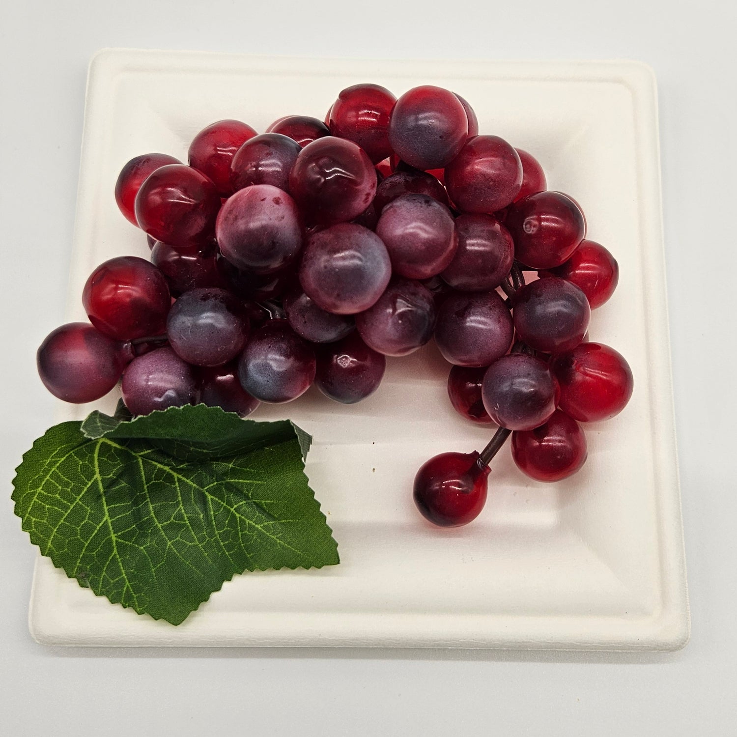 Tray Square, 10 inch - Disposable & Compostable, Eco-Friendly Serving Solution