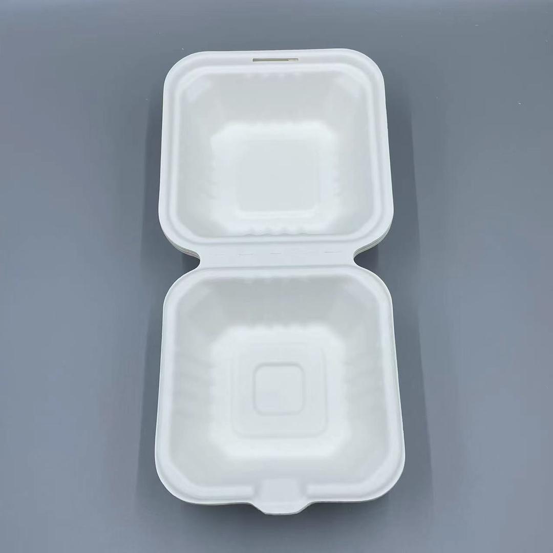 Clamshell Container, 6 x 6 inch,( burger) - Disposable & Compostable, Eco-Friendly Food Container