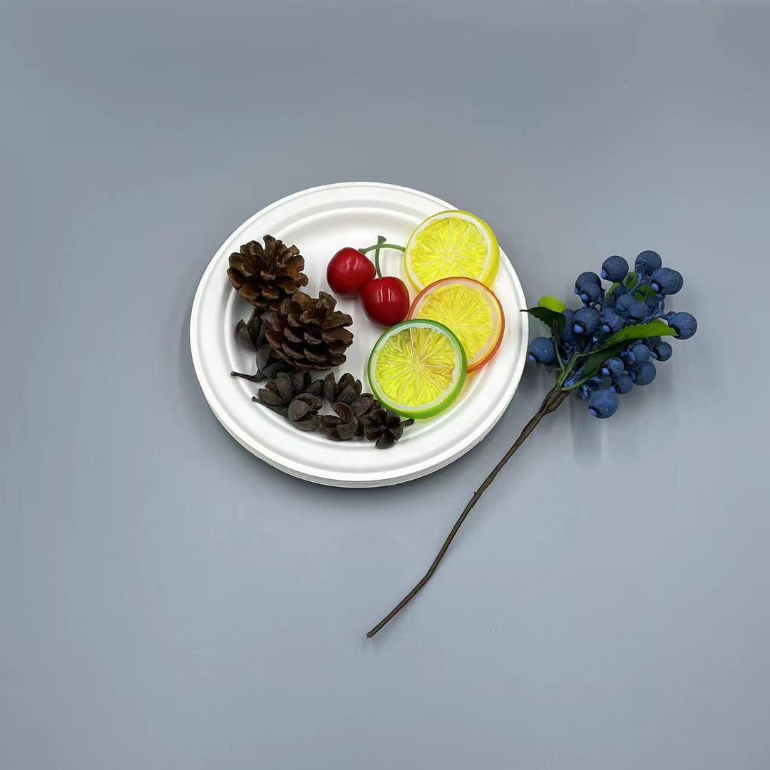Plate Round, 7 inch - Disposable & Compostable, Eco-Friendly Dinnerware