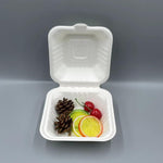 Clamshell Container, 6 x 6 inch,( burger) - Disposable & Compostable, Eco-Friendly Food Container